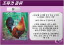 조육류 조사 7페이지