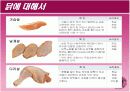 조육류 조사 12페이지
