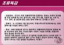 조육류 조사 29페이지