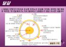 조육류 조사 31페이지