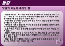 조육류 조사 34페이지