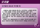 조육류 조사 39페이지