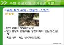 경주 교동 최씨 고택 조사 25페이지