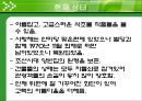 경주 교동 최씨 고택 조사 33페이지