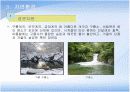 치악산 국립공원 조사 11페이지