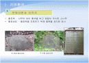 치악산 국립공원 조사 14페이지