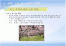 치악산 국립공원 조사 16페이지