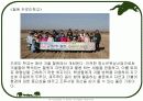 철원지역 조사 17페이지