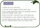 철원지역 조사 20페이지