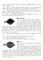 가자미[flat fish]의 특징 분포,분류,종류 및 생태 7페이지
