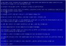 이탈리아경찰 16페이지