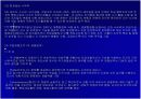 이탈리아경찰 17페이지