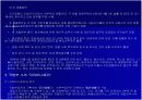 이탈리아경찰 18페이지