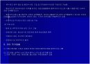 이탈리아경찰 20페이지