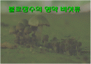 버섯 조사 1페이지