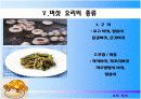 버섯 조사 13페이지