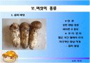 버섯 조사 17페이지