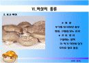 버섯 조사 20페이지
