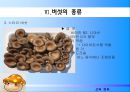 버섯 조사 23페이지