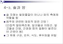 술과 건강 조사 27페이지