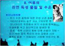 어류 조사 19페이지