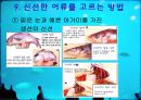 어류 조사 22페이지