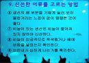 어류 조사 24페이지