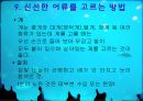 어류 조사 25페이지
