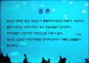 어류 조사 36페이지