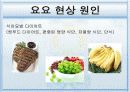 [보건학]다이어트 '요요현상'과 해결방안(A+리포트) 6페이지