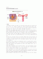 자연분만 케이스 스터디 18페이지