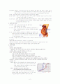 자연분만(NSVD Normal Spontaneous Vaginal Delivery 케이스 스터디 2페이지