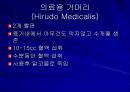 Replantation 수술후 관리  22페이지