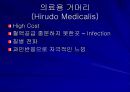 Replantation 수술후 관리  26페이지