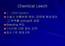 Replantation 수술후 관리  27페이지