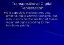 Replantation 수술후 관리  34페이지