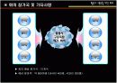 황룡사 구층목탑 재건회의 컨벤션 기획서 ppt 14페이지