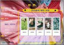 신라염궁, 세계홍보 컨벤션 기획서 15페이지