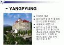 경주 대명리조트 마케팅 분석 PPT 9페이지