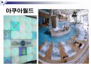 경주 대명리조트 마케팅 분석 PPT 19페이지