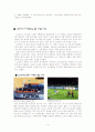 LG전자 스포츠마케팅 16페이지