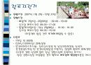 문경지역 활성화방안 13페이지