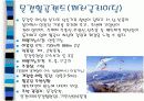 문경지역 활성화방안 16페이지