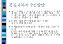 문경지역 활성화방안 27페이지
