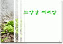 소양강 처녀상 활성화방안 PPT 1페이지