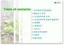 소양강 처녀상 활성화방안 PPT 2페이지