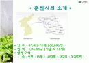 소양강 처녀상 활성화방안 PPT 4페이지