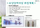 소양강 처녀상 활성화방안 PPT 9페이지