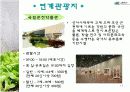 소양강 처녀상 활성화방안 PPT 17페이지