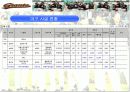 야구 활성화 방안 PPT 11페이지